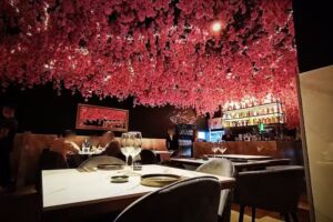 Do&Go Japanese Vibes