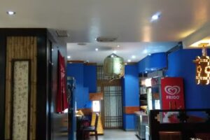 Restaurante Japon&eacute;s &ndash; Wok Nipponia | Zaragoza