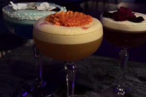 WAVE karaoke & sushi lounge